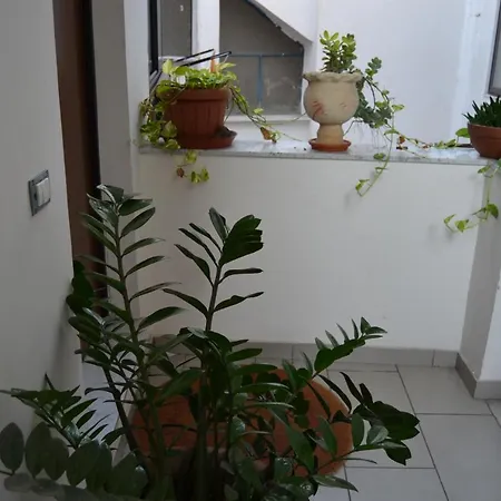 Chez Amelie & Jean-louis Apartment *