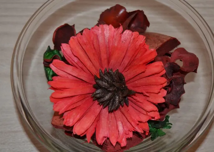 Daire Chez Amelie & Jean-louis *