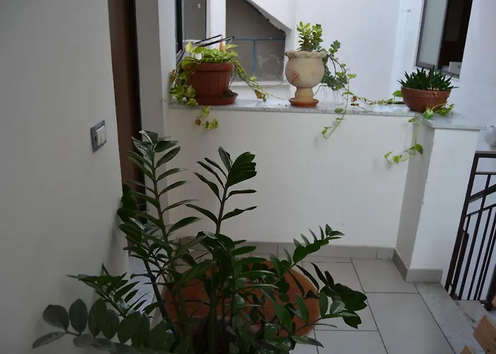 Chez Amelie & Jean-louis Daire *